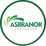 Design sem nome (17)